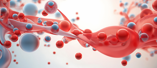 Muscle Pumps Explained: How Vasodilation Improves Workout Performance