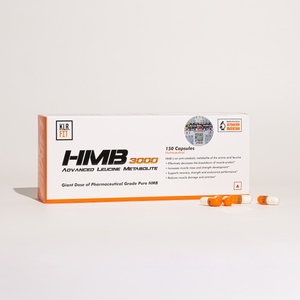 HMB 3000